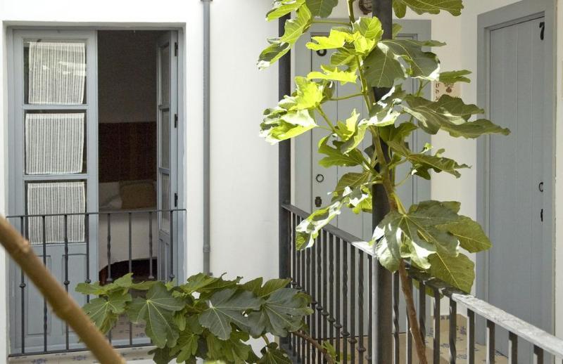 Готель La Botica De Vejer Вехер-де-ла-Фронтера Екстер'єр фото
